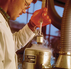 safely handling cryogenic liquids